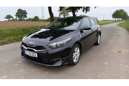 Kia ceed / Ceed Gebrauchtwagen