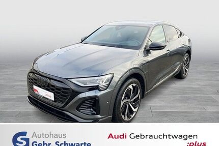 Audi Q8 e-tron Gebrauchtwagen