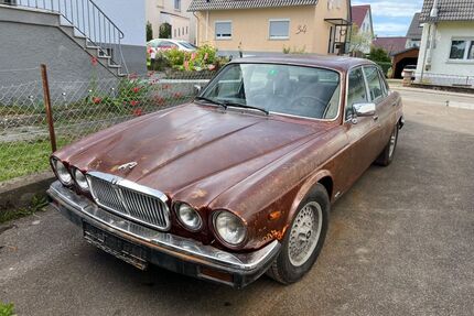 Jaguar XJ6 Gebrauchtwagen