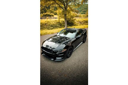 Ford Mustang Gebrauchtwagen
