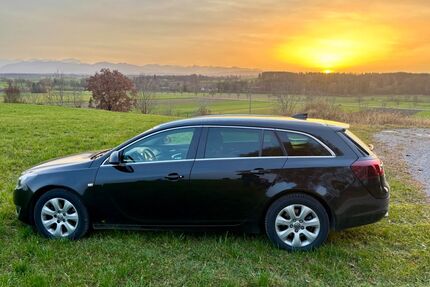 Opel Insignia Gebrauchtwagen