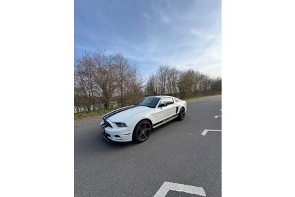 Ford Mustang Gebrauchtwagen