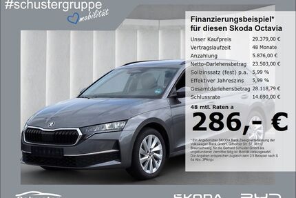 Skoda Octavia Gebrauchtwagen