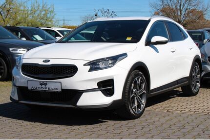 Kia XCeed Gebrauchtwagen