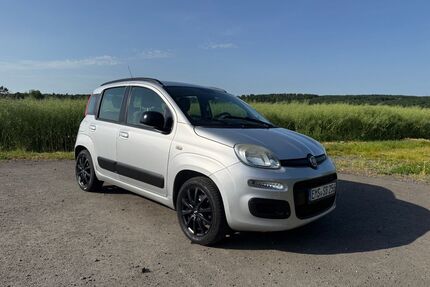 Fiat Panda Gebrauchtwagen