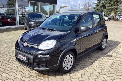 Fiat Panda Gebrauchtwagen