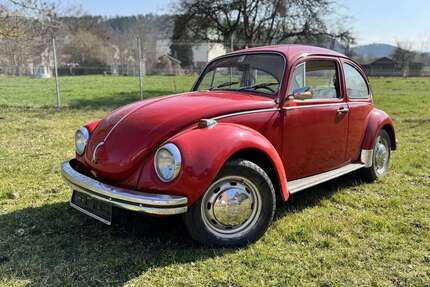 VW Käfer Gebrauchtwagen
