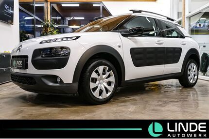 Citroen C4 Cactus Gebrauchtwagen