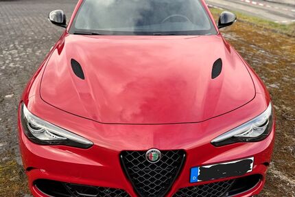 Alfa Romeo Giulia Gebrauchtwagen
