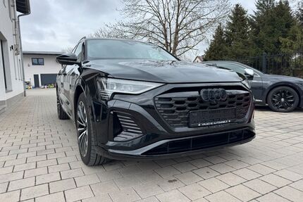 Audi Q8 e-tron Gebrauchtwagen