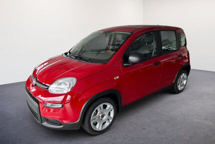 Fiat Panda Gebrauchtwagen
