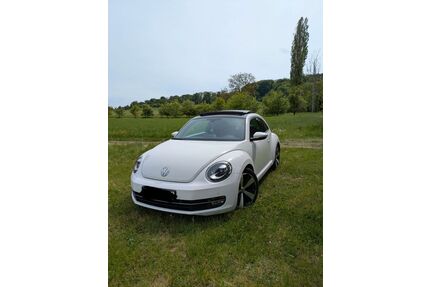 VW Beetle Gebrauchtwagen