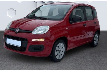 Fiat Panda Gebrauchtwagen