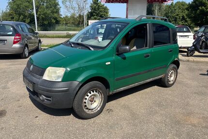 Fiat Panda Gebrauchtwagen