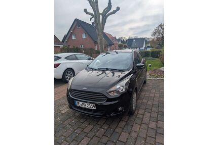 Ford Ka/Ka+ Gebrauchtwagen