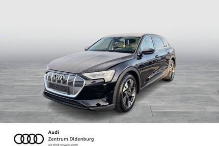 Audi e-tron Gebrauchtwagen