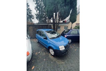 Fiat Panda Gebrauchtwagen