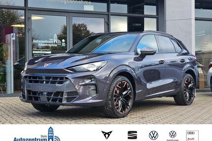 Cupra Terramar Gebrauchtwagen