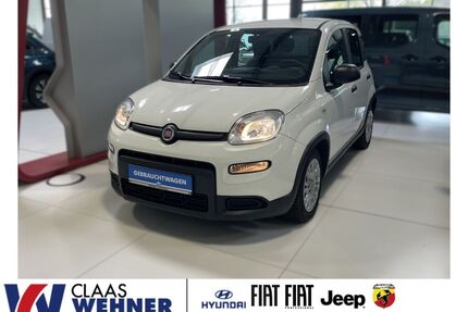 Fiat Panda Gebrauchtwagen