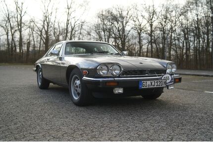 Jaguar XJS Gebrauchtwagen