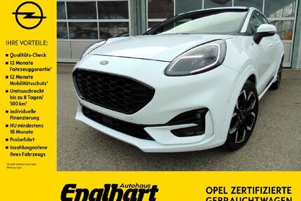 Ford Puma Gebrauchtwagen