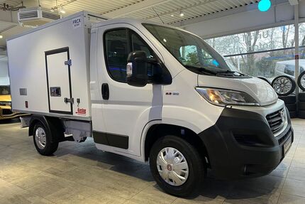 Fiat Ducato Gebrauchtwagen