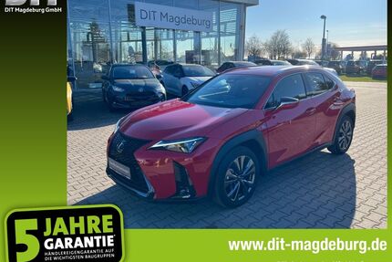 Lexus UX Gebrauchtwagen