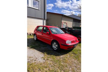 VW Golf Gebrauchtwagen