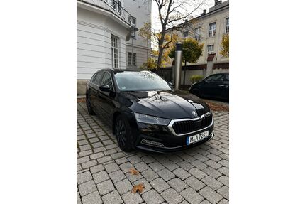 Skoda Octavia Gebrauchtwagen