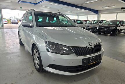Skoda Fabia Gebrauchtwagen