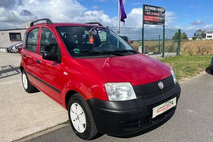 Fiat New Panda Gebrauchtwagen