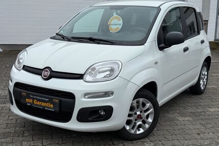 Fiat Panda Gebrauchtwagen