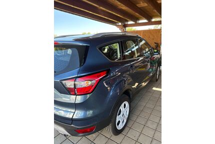 Ford Kuga Gebrauchtwagen