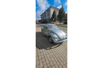 VW Beetle Gebrauchtwagen