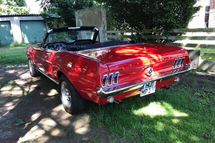 Ford Mustang Gebrauchtwagen