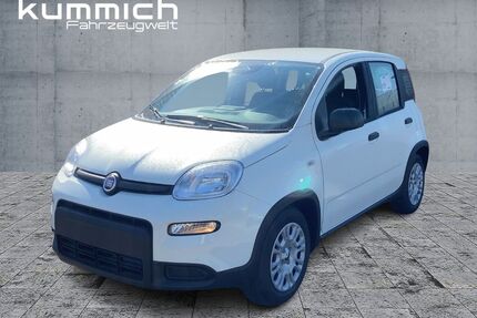 Fiat Panda Gebrauchtwagen