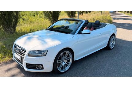 Audi S5 Gebrauchtwagen
