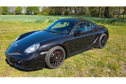 Porsche Cayman Gebrauchtwagen