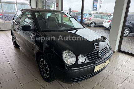 VW Polo Gebrauchtwagen