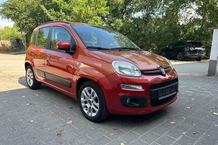 Fiat Panda Gebrauchtwagen