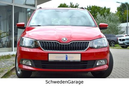 Skoda Fabia Gebrauchtwagen