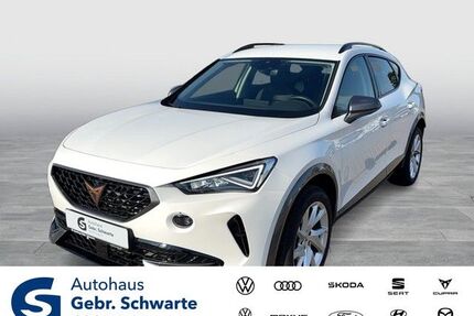 Cupra Formentor Gebrauchtwagen