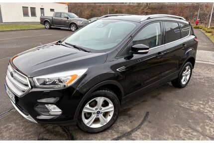 Ford Kuga Gebrauchtwagen