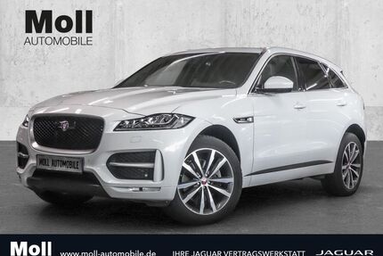 Jaguar F-Pace Gebrauchtwagen