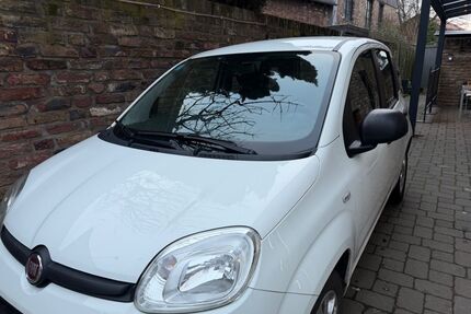 Fiat Panda Gebrauchtwagen