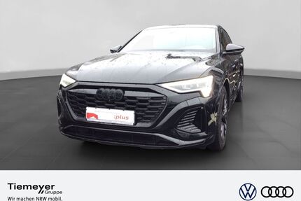 Audi Q8 e-tron Gebrauchtwagen