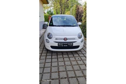 Fiat 500 Gebrauchtwagen