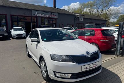Skoda Rapid Gebrauchtwagen