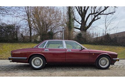 Jaguar XJ40 Gebrauchtwagen