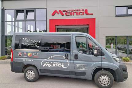 Fiat Ducato Gebrauchtwagen